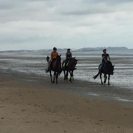 Decouverte D'Un Haras Proche Du Mont St Michel Hambye Extérieur photo