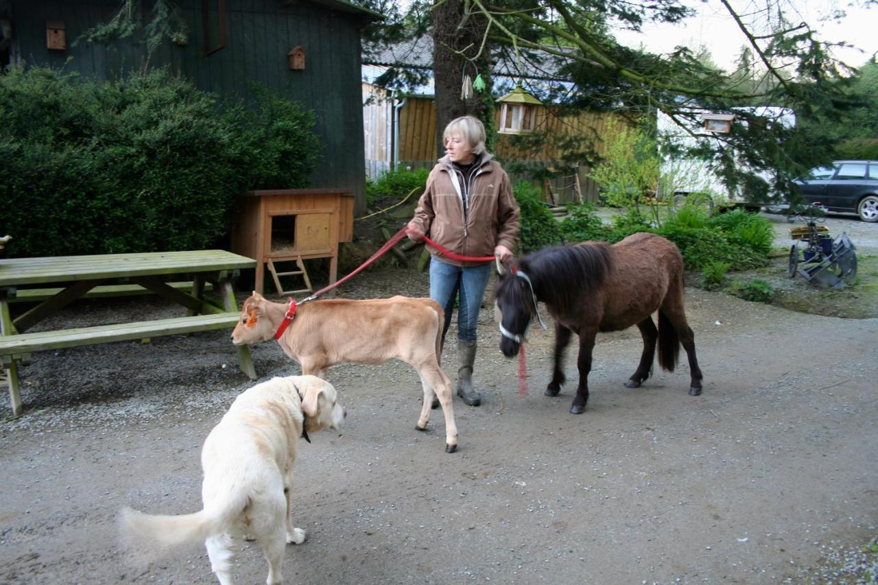 Decouverte D'Un Haras Proche Du Mont St Michel Hambye Extérieur photo