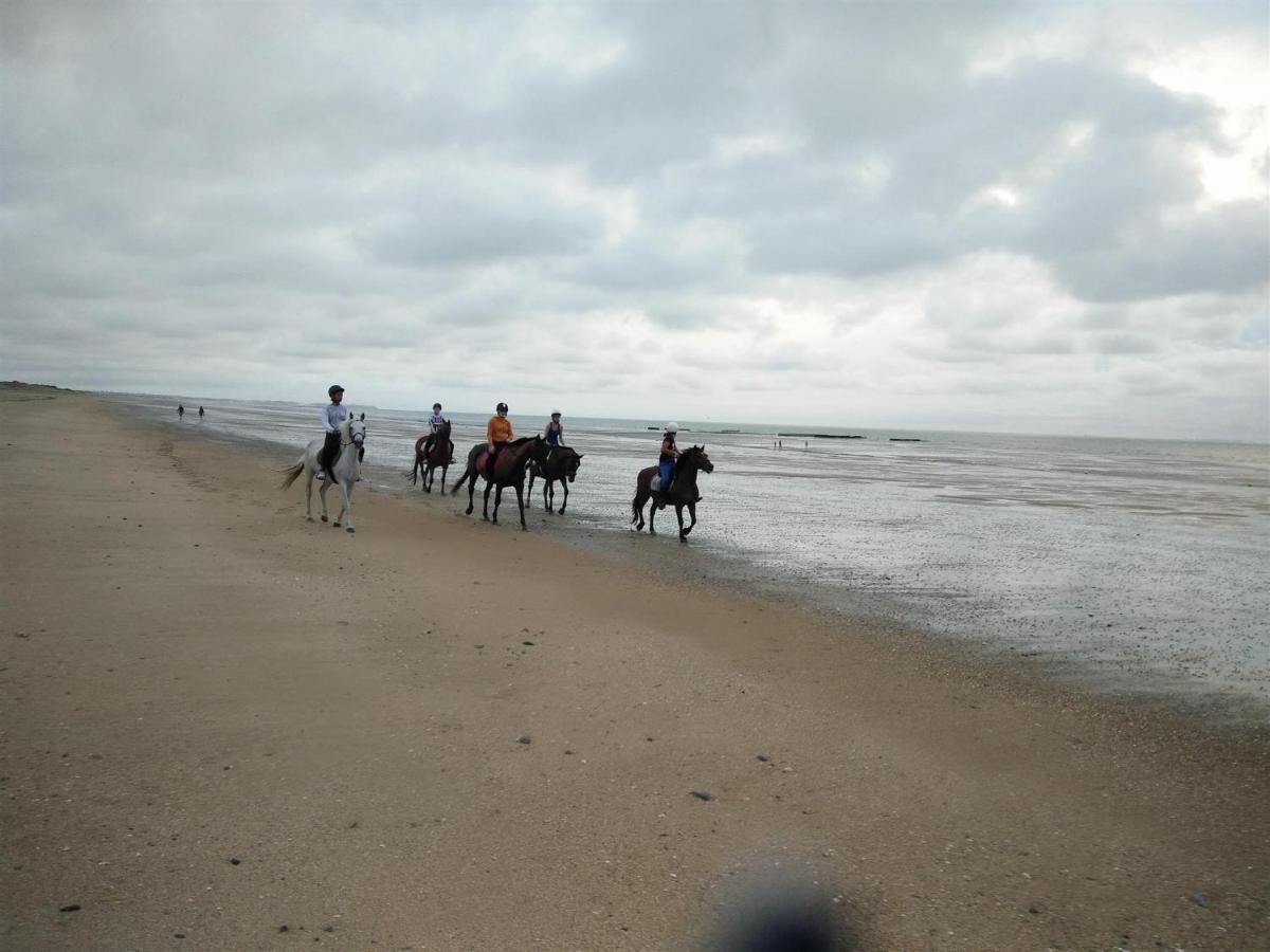 Decouverte D'Un Haras Proche Du Mont St Michel Hambye Extérieur photo