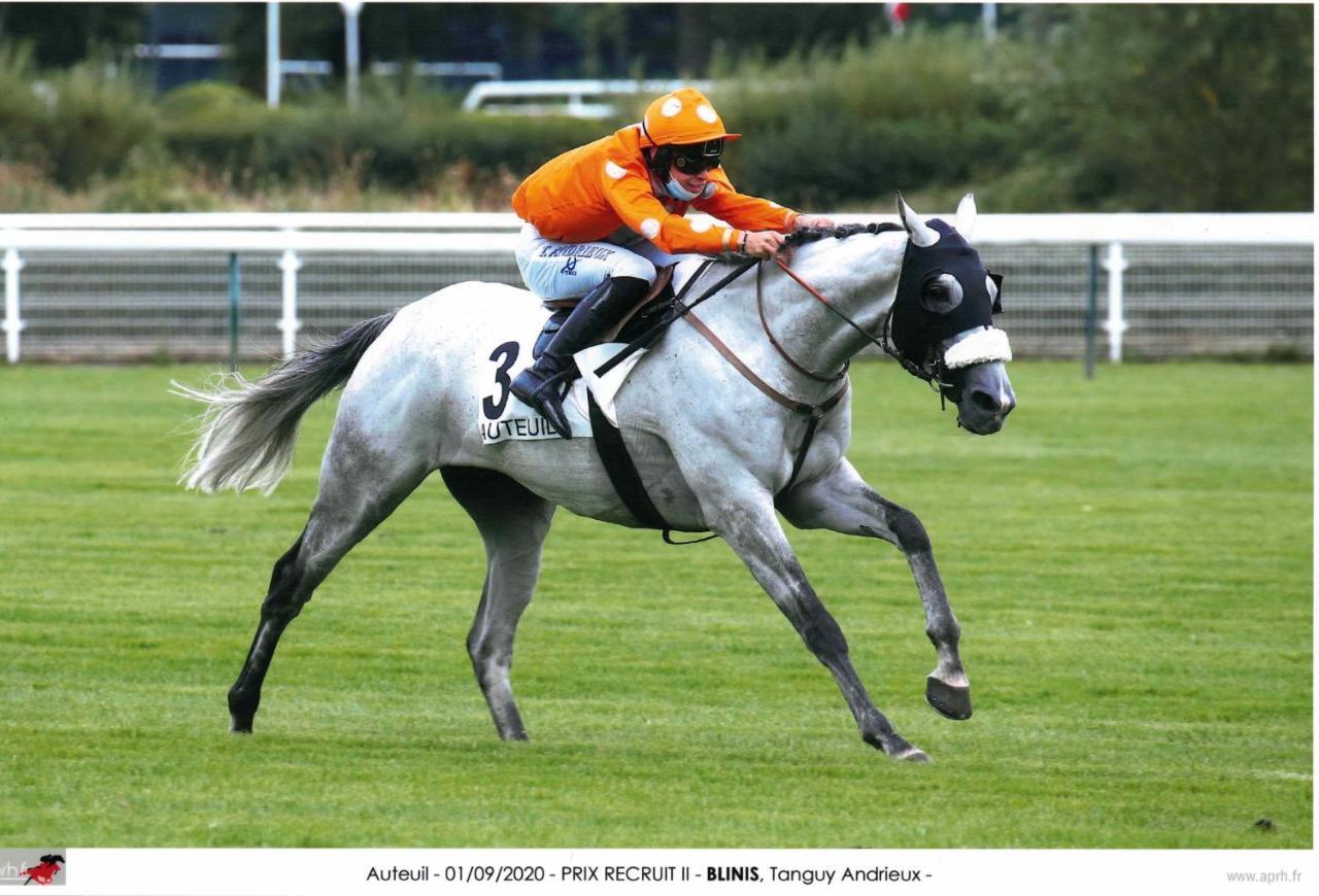 Decouverte D'Un Haras Proche Du Mont St Michel Hambye Extérieur photo
