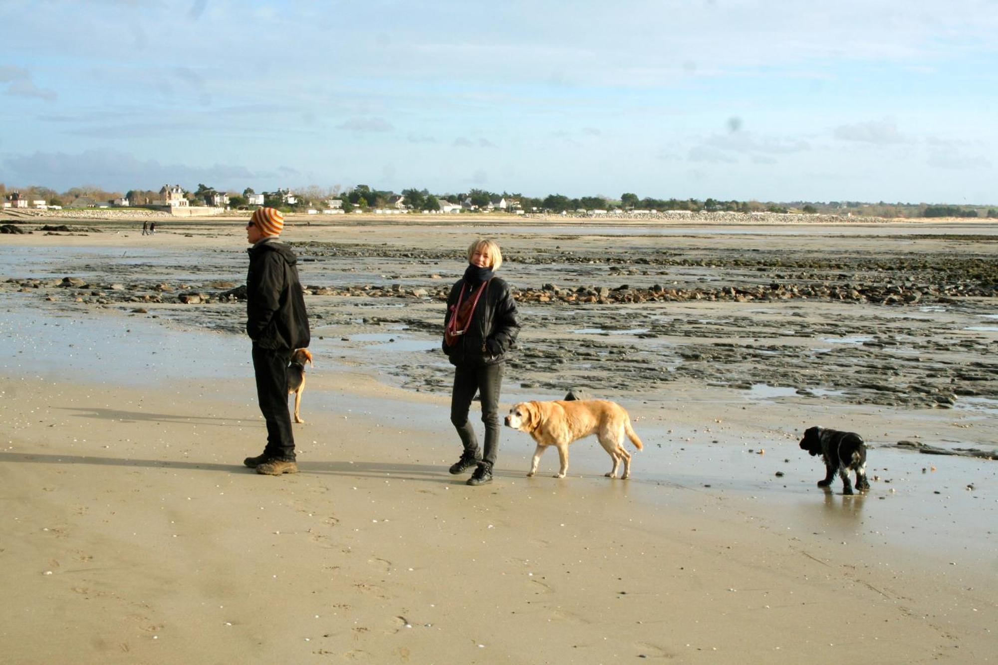 Decouverte D'Un Haras Proche Du Mont St Michel Hambye Extérieur photo