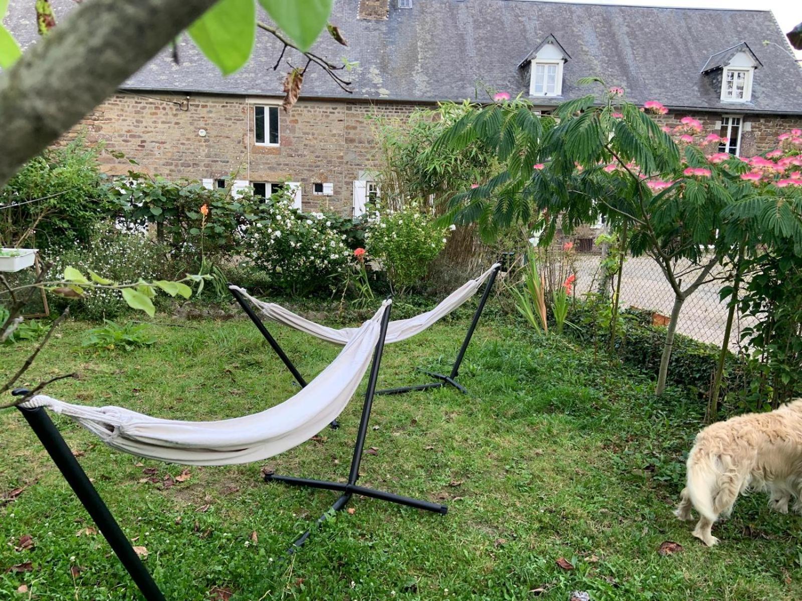 Decouverte D'Un Haras Proche Du Mont St Michel Hambye Extérieur photo